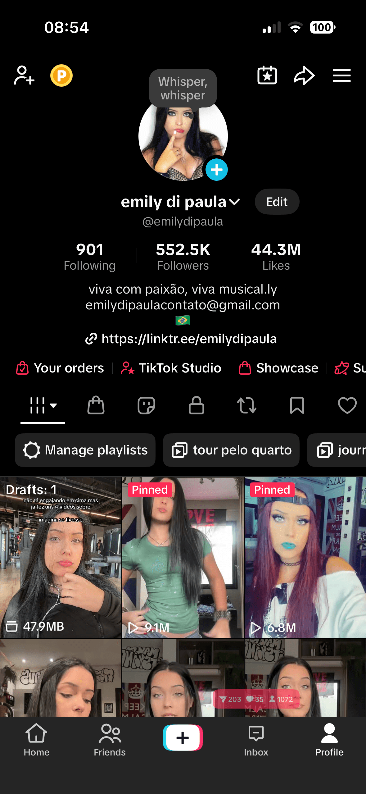 emilydipaula playlist cover