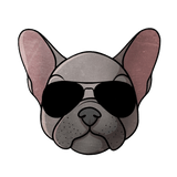 Nurfthefrenchie playlist cover