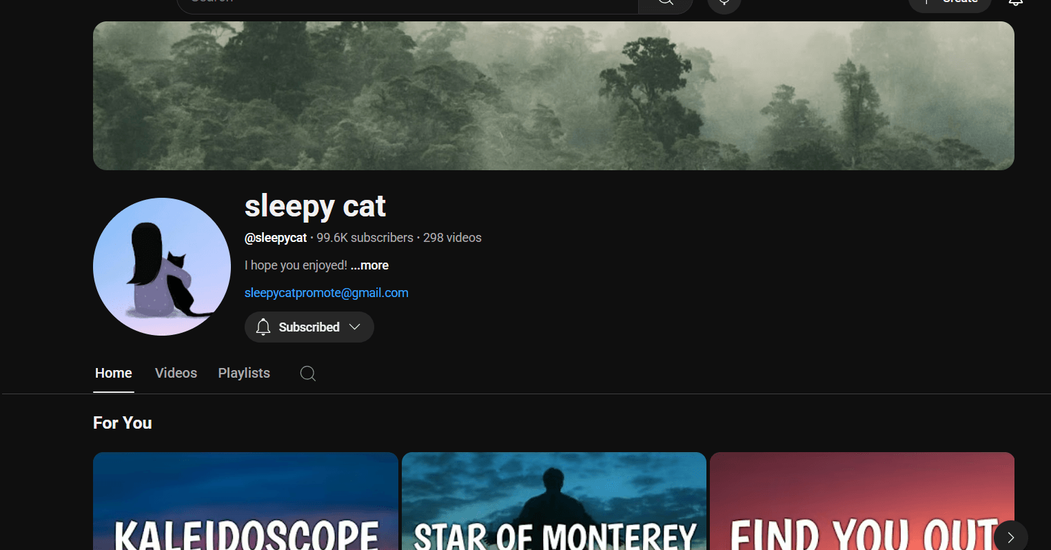sleepy cat playlist cover